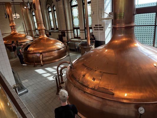 Heineken Experience by null