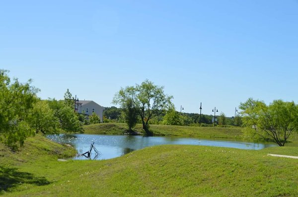 Orchard Ridge Community, Texas by null