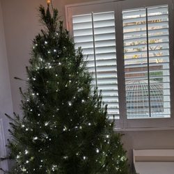 Gold Crown Macadamia Nuts - Our almost decorated tree, smells amazing!!