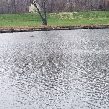 Fairview Park - 3/24/20 - Parks Near Me - Falls Church, Virginia Fairview Park - 3/24/20 - Parks Near Me - Falls Church, Virginia