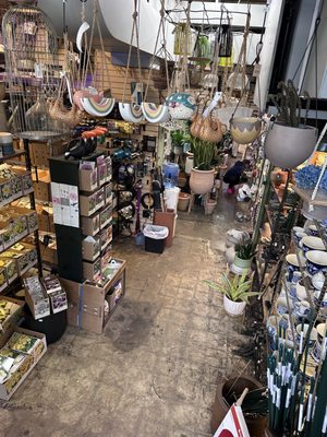 Ginkgo Gardens by null