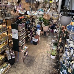 Ginkgo Gardens - Indoor - 1st floor