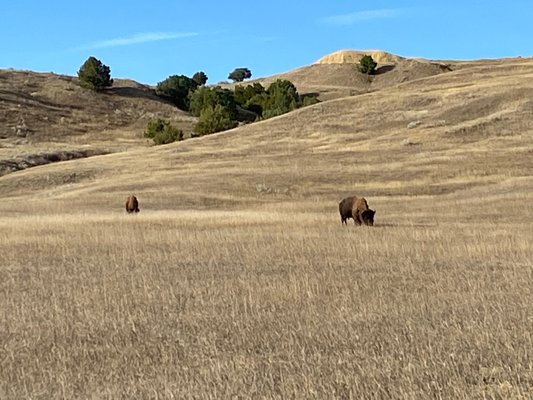 Sage Creek Campground by null