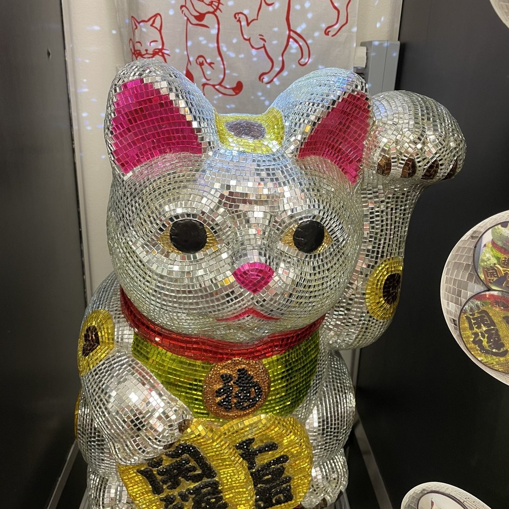 Disco kitteh