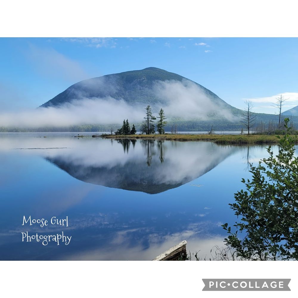 Social spots from Moosehead Area Guide Service