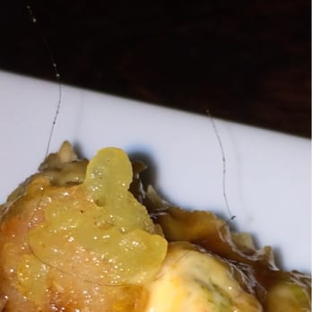 Shiki Sushi - Here's one more just to make sure it's not blond hair lol - Sushi Bars Near Me - Studio City, California Shiki Sushi - Here's one more just to make sure it's not blond hair lol - Sushi Bars Near Me - Studio City, California