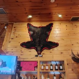 Bear skin rug
