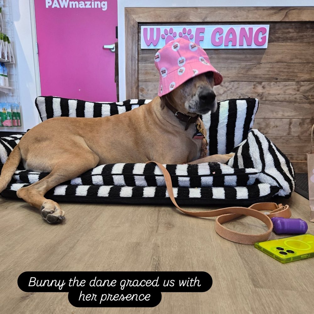 o Jupiter Florida Real Estate For Sale