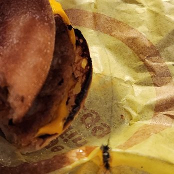 McDonald's - I pulled this crap out of my mouth!!! - Fast Food Near Me - Dresher, Pennsylvania McDonald's - I pulled this crap out of my mouth!!! - Fast Food Near Me - Dresher, Pennsylvania