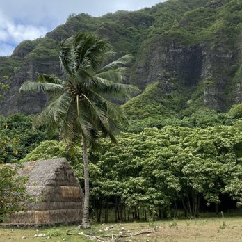 Kualoa Ranch - Movie tour - Tours Near Me - Kaneohe, Hawaii Kualoa Ranch - Movie tour - Tours Near Me - Kaneohe, Hawaii
