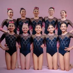 Central California Gymnastics Institute