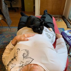 Sometimes the Cat helps.
