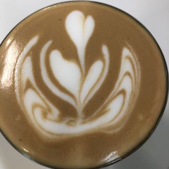Elevation Coffee Roasters - Cortado - Coffee Roasteries Near Me - Tampa, Florida