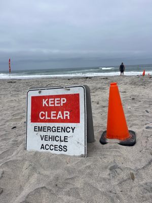 Cardiff State Beach by null
