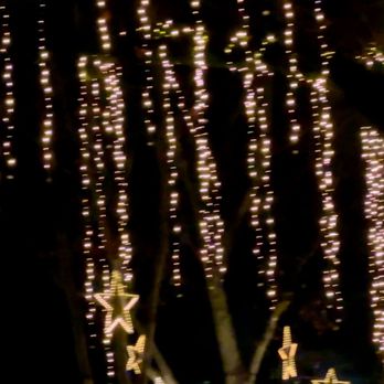 Sonoma Plaza - Twinkling trees. - Parks Near Me - Sonoma, California Sonoma Plaza - Twinkling trees. - Parks Near Me - Sonoma, California