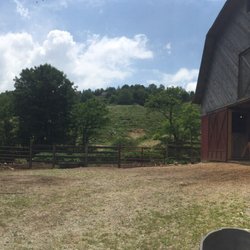 Banner Elk Stables - Barnyard