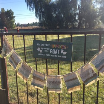 Goat Yoga - The cute entrance - Yoga Near Me Goat Yoga - The cute entrance - Yoga Near Me
