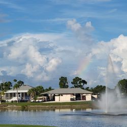 Blue Heron Pines