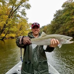 D-Loop Outfitters - Fall Steelhead