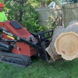 M Care Trees and Shrubs