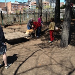 Union Street Dog Park - Dog lovers