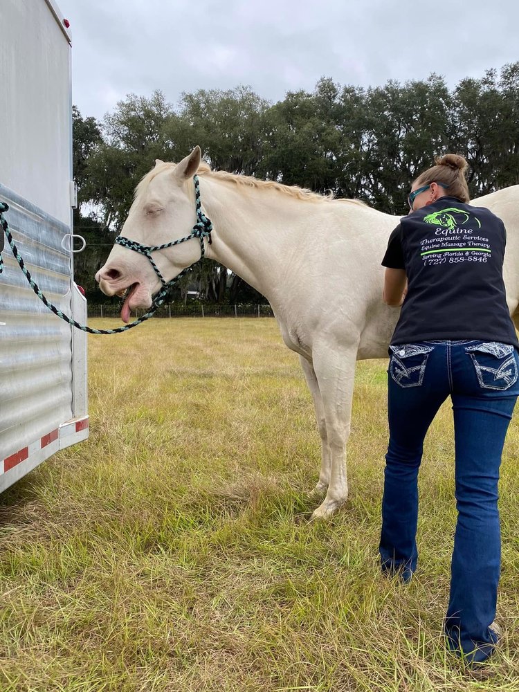 Equine Therapeutic Services Image