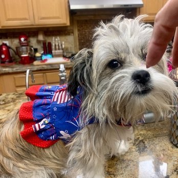 Petco - Pet Stores Near Me - Bakersfield, California