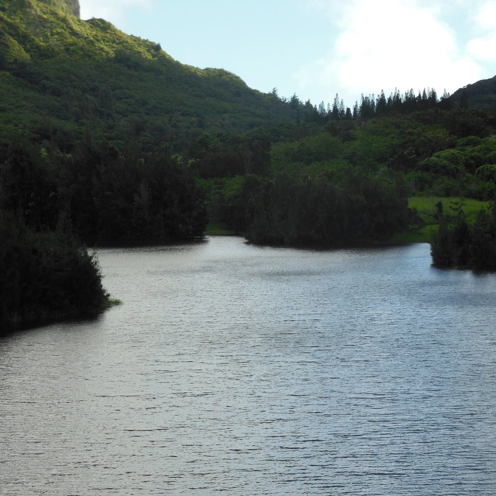 Lulumahu Falls - The lake - Hiking Near Me - Honolulu, Hawaii Lulumahu Falls - The lake - Hiking Near Me - Honolulu, Hawaii