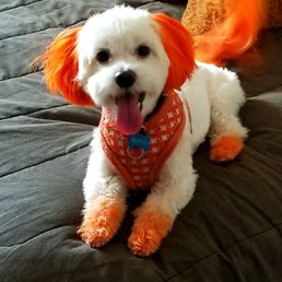 Love, love, love Riverside Groomer.