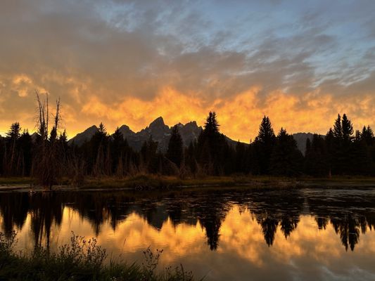 Schwabacher Landing by null