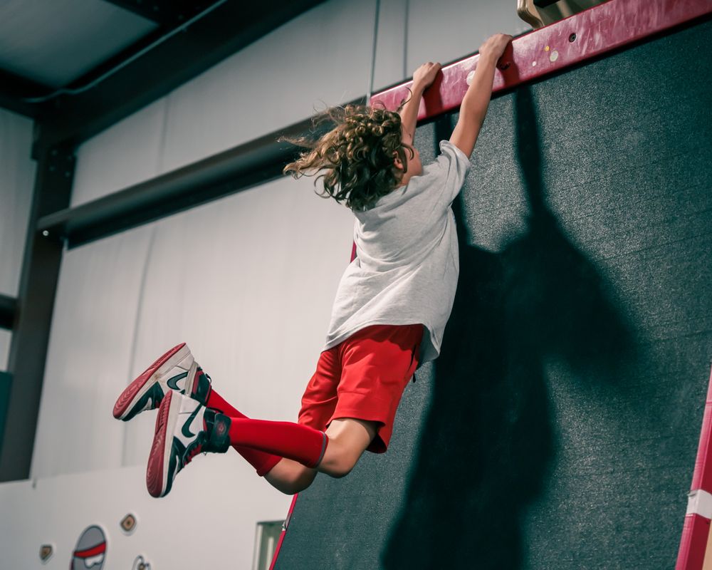 USA Ninja Challenge Logo