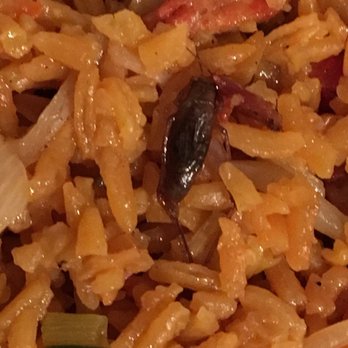 Top China - Yes, that is a ROACH in my rice!!!! DO NOT ORDER FROM THIS RESTAURANT!!!!! - Chinese Near Me - North Babylon, New York Top China - Yes, that is a ROACH in my rice!!!! DO NOT ORDER FROM THIS RESTAURANT!!!!! - Chinese Near Me - North Babylon, New York