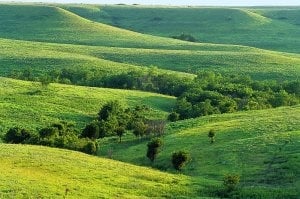 Konza Prairie Biological Station by null