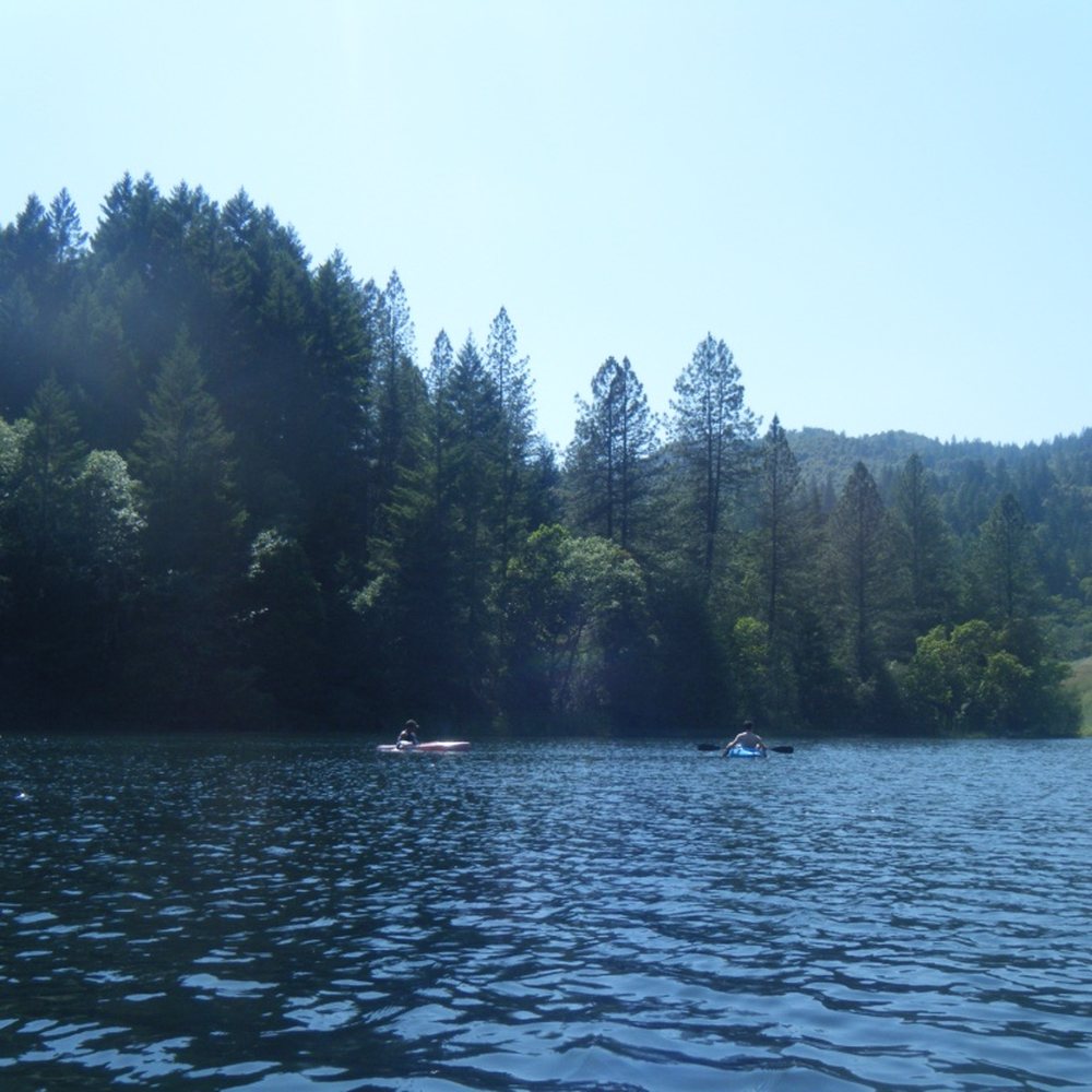 Mendocino Magic - Fishing Near Me - Laytonville, California Mendocino Magic - Fishing Near Me - Laytonville, California