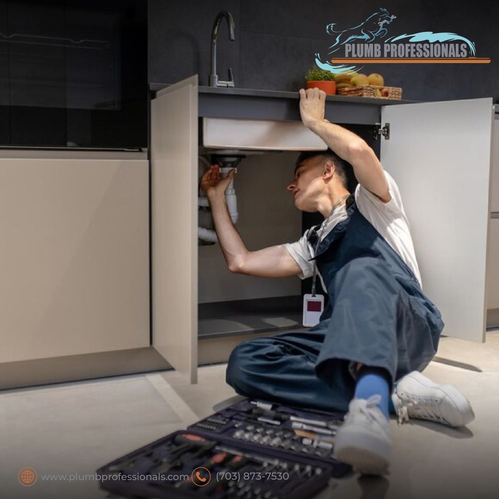 Slide of Plumb Professionals