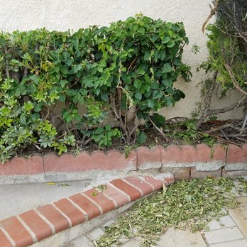 Environmental Landscaping - Debris left - Tree Services Near Me Environmental Landscaping - Debris left - Tree Services Near Me