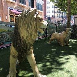 Kids Play Area
