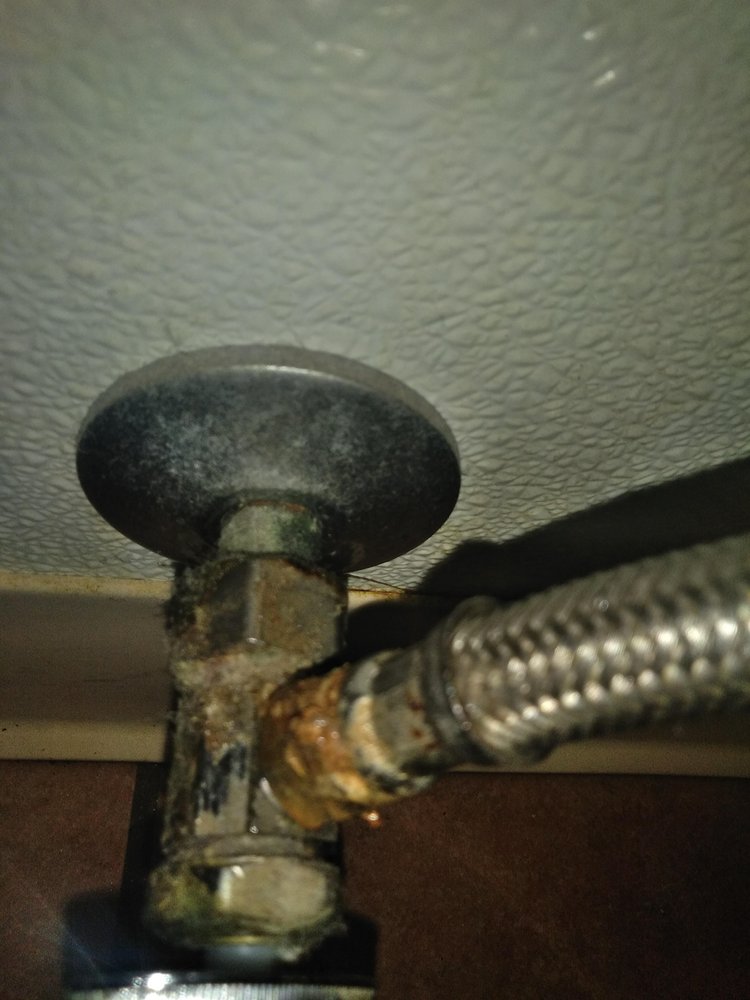Slide of True Blue Plumbing