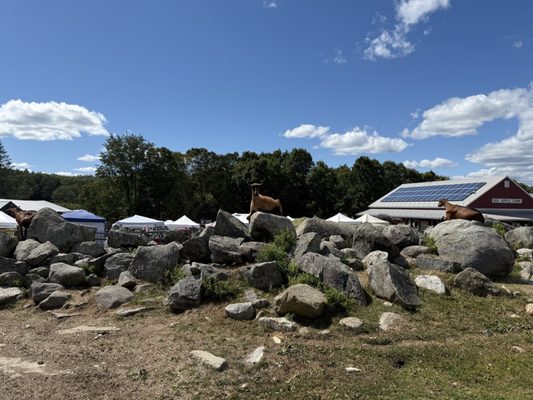 Red Apple Farm by null