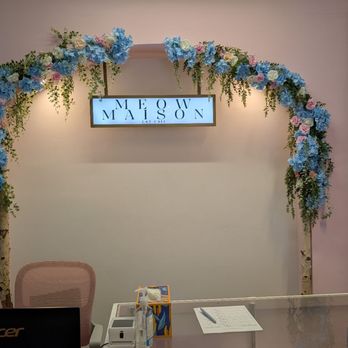 Meow Maison - Themed Cafes Near Me - Washington, DC, District of Columbia