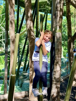 San Diego Zoo by null
