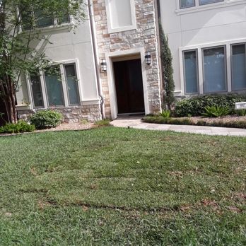Torres Tree Service - Job all done. - Tree Services Near Me