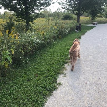 Springbrook Prairie Dog Park - Great day at the dog park! - Dog Parks Near Me - Naperville, Illinois