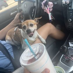 Tropical Smoothie Cafe - Smoothie
