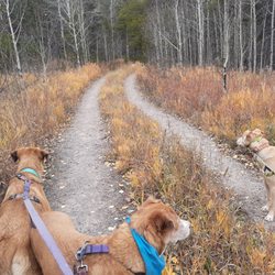 Hermit Park Open Space