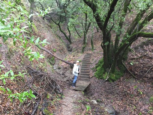 SEQUOIANS CLOTHES FREE CLUB Updated September 2025 23 Photos 28