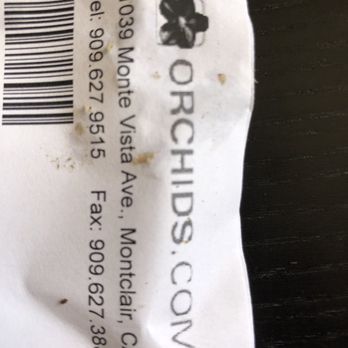 Norman's Orchid Nursery - Local in Montclair. - Nurseries & Gardening Near Me - Montclair, California