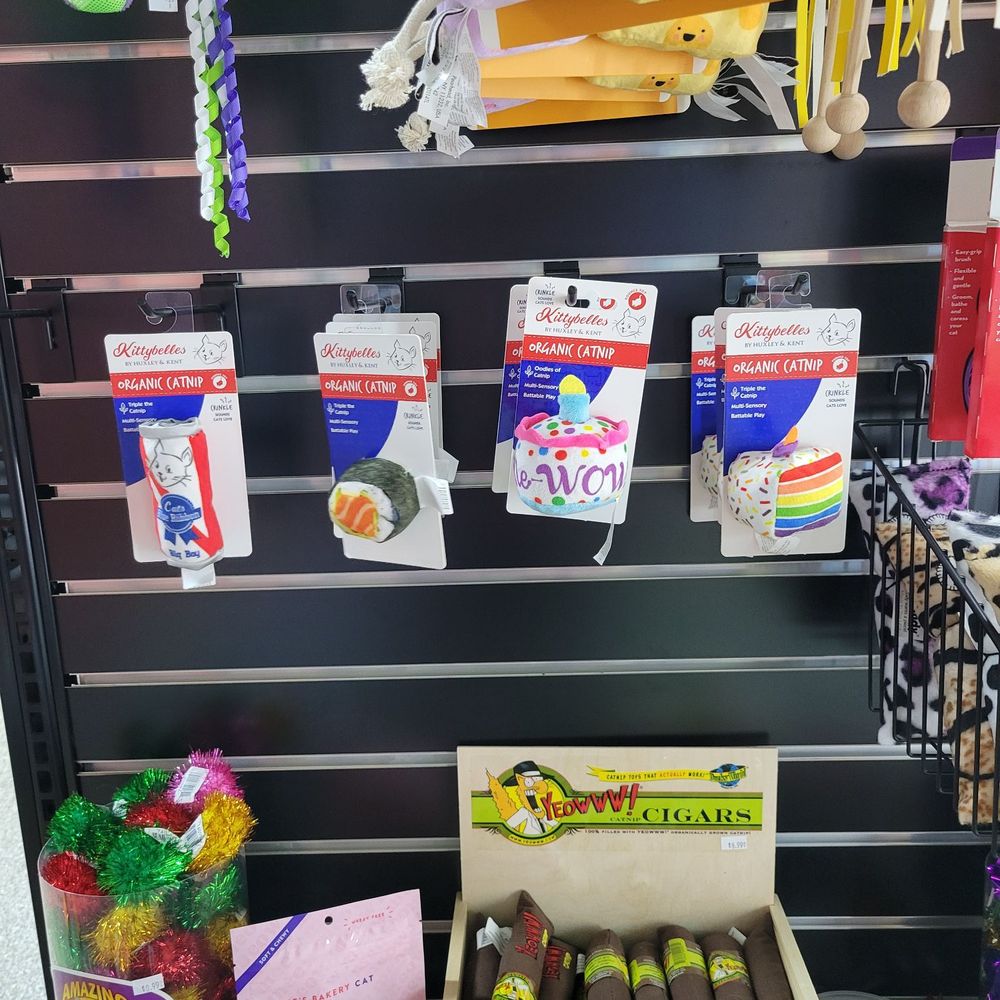 EarthWise Pet - Some of their cat toys. - Pet Groomers Near Me - Chandler, Arizona