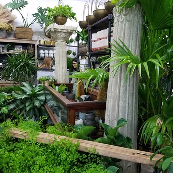 Grounded Plant & Floral - lots of live plants! - Nurseries & Gardening Near Me - Indianapolis, Indiana