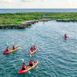 Active Oahu Tours - Kayaking to Flat Island (Popoia Island Seabird Sanctuary)